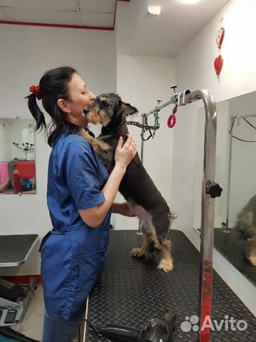 Стрижка собак, кошек. Чистка зубов