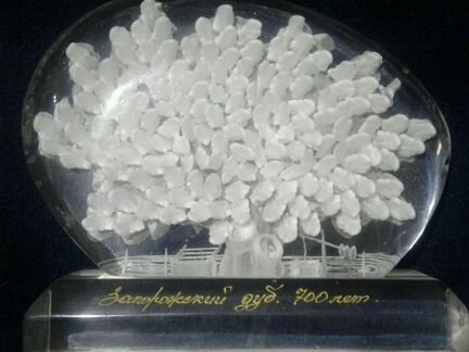 Сувенир запорожский дуб.700лет