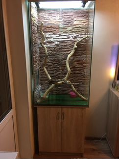 Террариум вертикальный