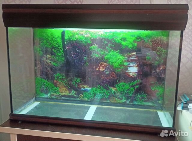 Аквариум 100 +Тумба+Свет