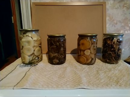 Грибы маринованные /сухие