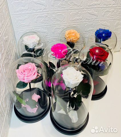 Роза в колбе