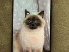 Samsung a50 2018 64gb