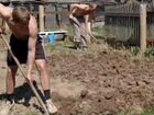Разнорабочие на садовый участок копать огород