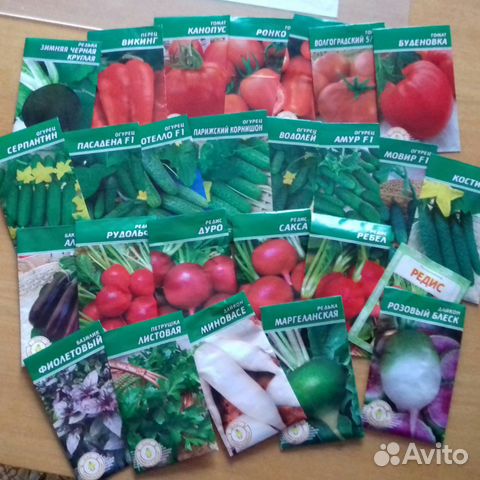 Семена овощных, кормовых и цветочных культур