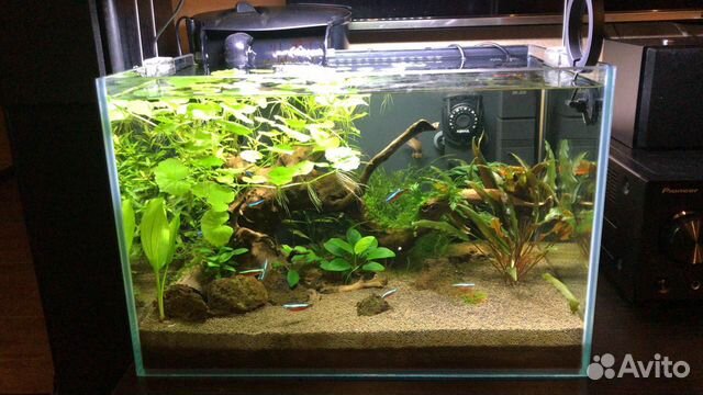Аквариум изготовление