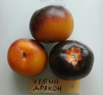 Семена томатов редких сортов