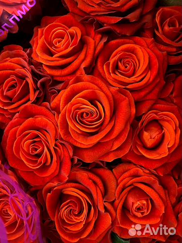 51 роза цветы букеты 101 25 21 15 розы