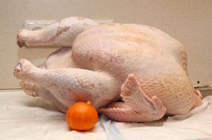 Мясо индейки, яйцо