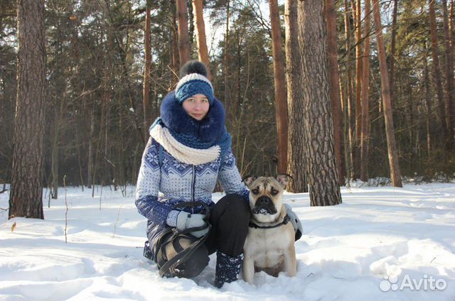 Дрессировка собак