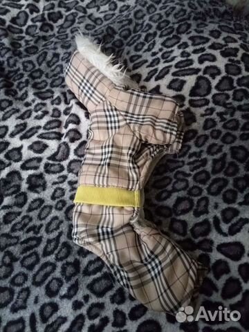 Костюм для собак мелких пород