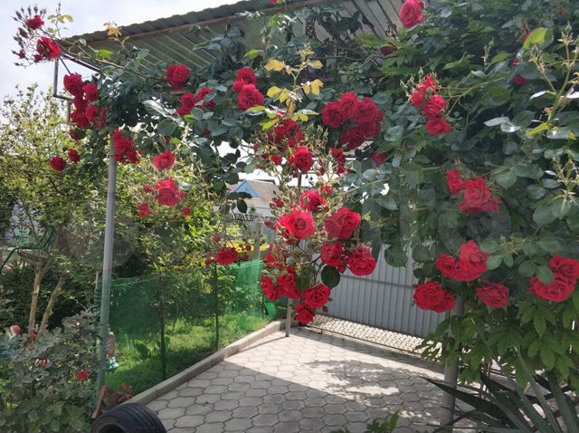 Комната 16 м² в 1-к., 1/2 эт.