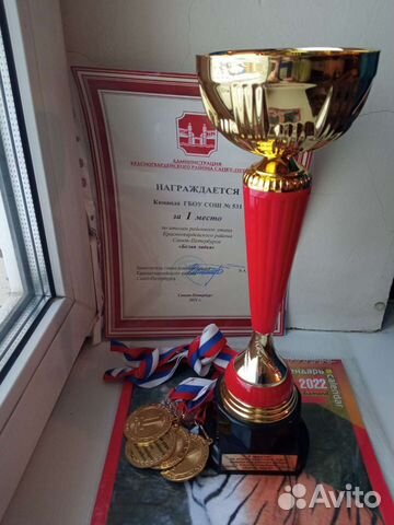 Тренер преподаватель учитель по шахматам