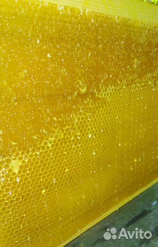 Натуральный мед