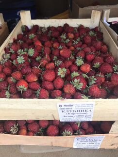 Клубника, малина, клюква, брусника