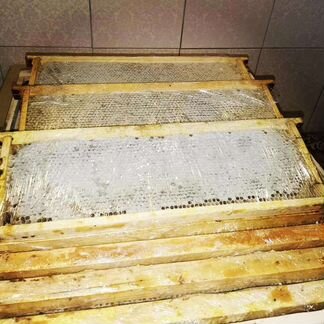 Сотовый мед