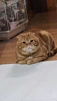 Ждём на вязку