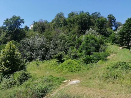 Участок 5 сот. (СНТ, ДНП)