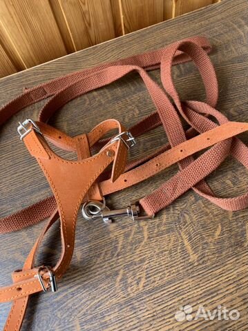 Шлейка+поводок для кошки