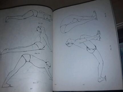 Свами Вишну. Полная иллюстрированная книга йоги