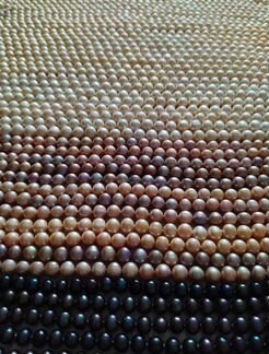 Жемчуг морской