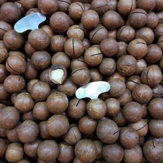 Макадамия цельная в скорлупе (w55)