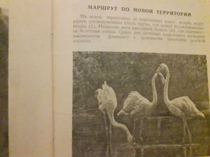 Краткий путеводитель по зоопарку, 1950г