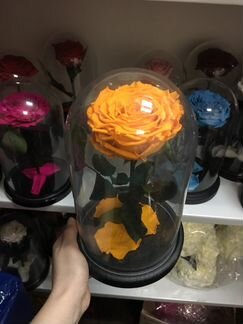 Роза в колбе