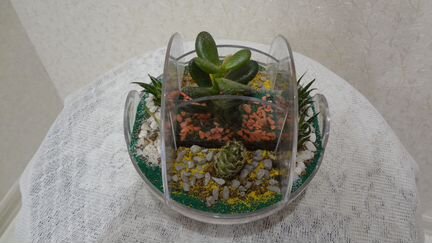 Оранжировка