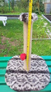 Когтеточка