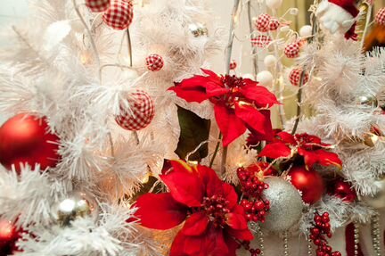 Новогодний декор И профессиональная флористика