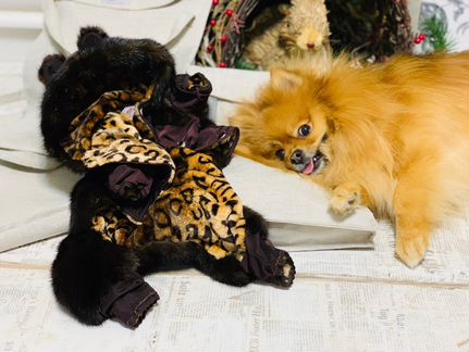 Шубка норковая для собак (новая)