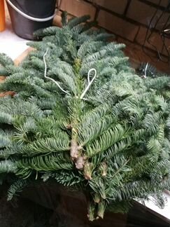 Лапник для композиций, венков, елок