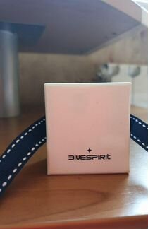 Серебряные серьги гвоздики BlueSpirit