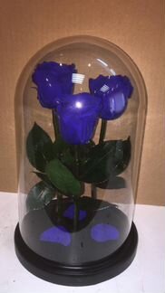 Роза в колбе опт и розница