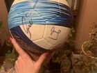Футбольный мяч с автографами сборной Аргентины