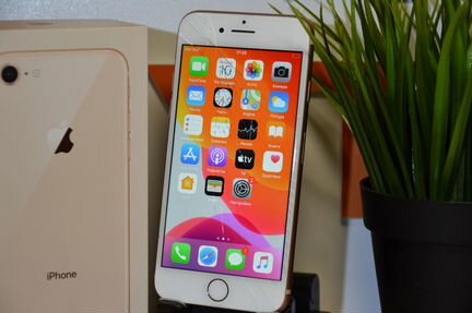 iPhone 8 64Gb Рст Оригинал