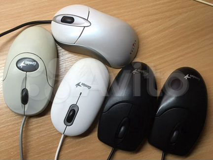 Компьютерные мыши различные