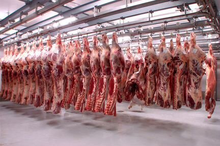 Мясо оптом Крупный и средний опт от 100 кг