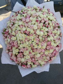 151 кустовая роза, Москва