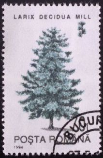 Почтовые марки серии 