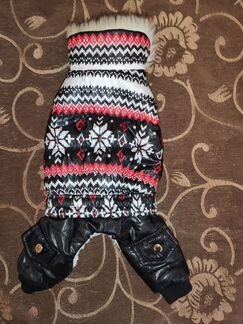 Одежда для мопса