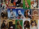 Календарики с собаками 150 штук объявление продам