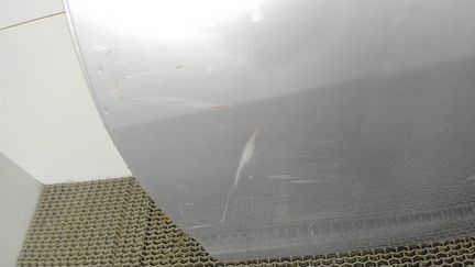 Дверь боковая левая задняя Mitsubishi Grandis, 200