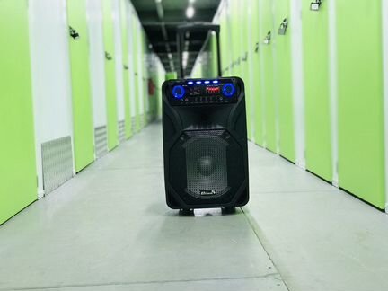 Портативная колонка Eltronic El 106