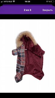 Одежда для собак