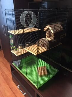 Большая клетка для грызунов и всё что нужно