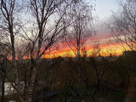 1-к квартира, 35 м², 5/12 эт.