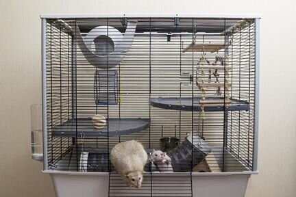 Ferplast Furet огромная импорт клетка Итал.фирмы